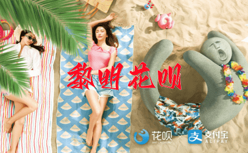 ﻿泥牛入海花呗